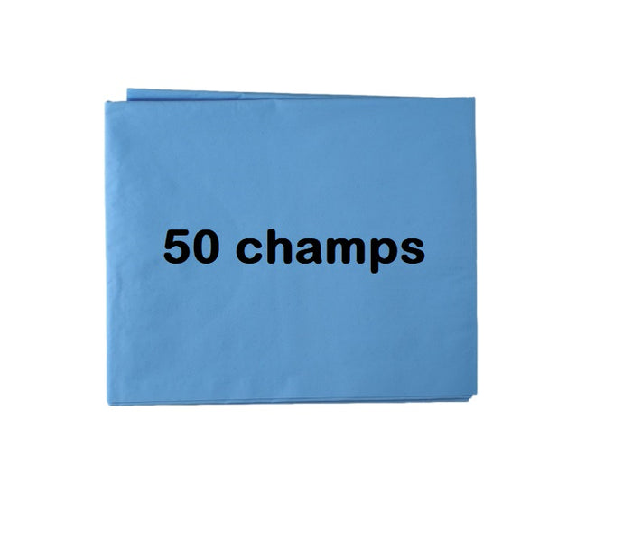 50 CHAMPS PATIENT 50x60CM