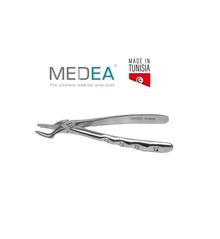 DAVIER RACINE MOLAIRE SUP. ADULTE (AD080-51) - MEDEA - MEDEA