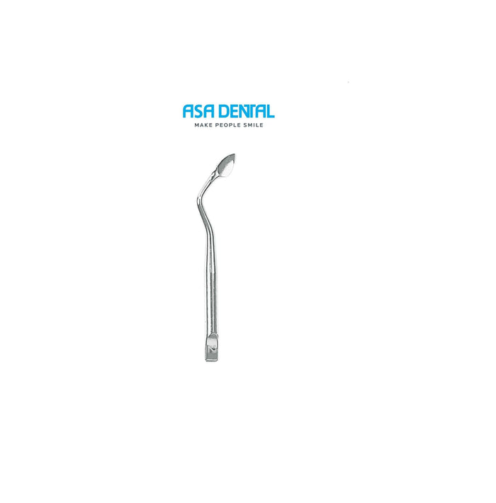 INSERT BERNARD 2 (296-2) - ASA DENTAL