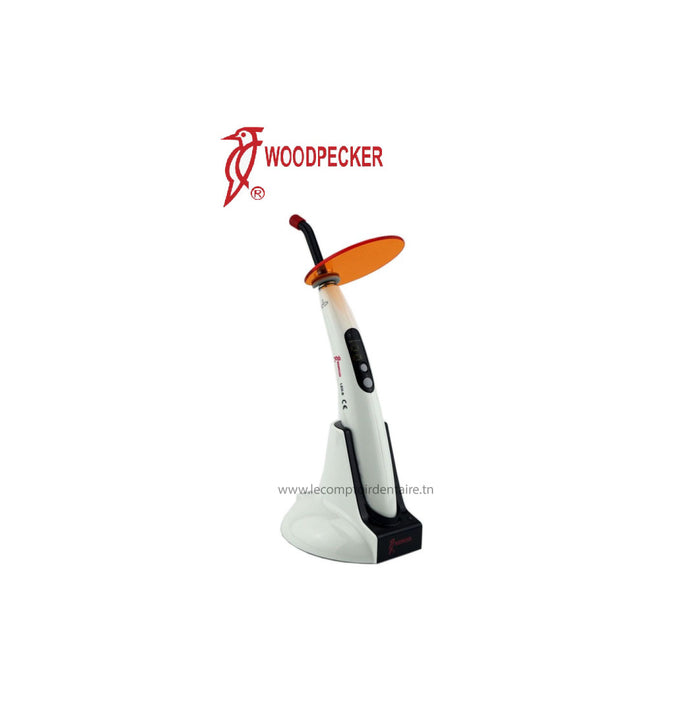 LAMPE COMPOSITE LED B - WOODPECKER