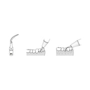 INSERT P1 POUR PARODONTIE COMPATIBLE EMS - WOODPECKER - WOODPECKER