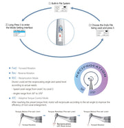 MOTEUR ENDODONTIQUE E VALUE - EIGHTEETH - EIGHTEETH